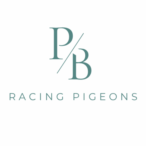 P&B RACING PIGEONS